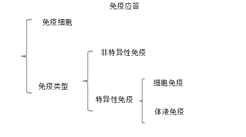 2020年浙江教师招聘考试面试技巧之《人体的免疫与稳态》说课稿