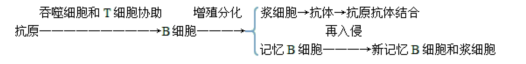 2020年浙江教师招聘考试面试技巧之《人体的免疫与稳态》说课稿