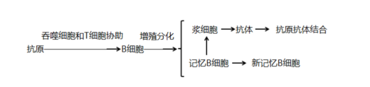 2020年浙江教师招聘考试面试技巧之《人体的免疫与稳态》说课稿