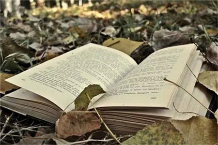 杭州教师招聘:杭州市西溪实验学校诚聘语文老师(非事业)